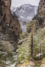 Neige de printemps aux gorges du Guil