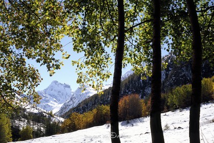 Premières neiges au pré Michel