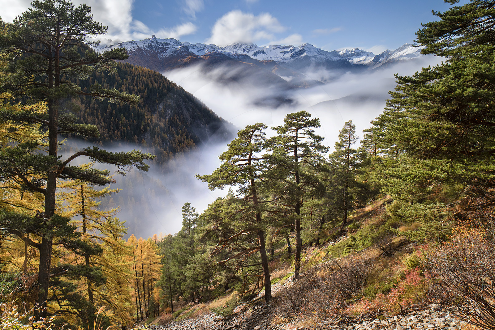 L'automne dans le Queyras
