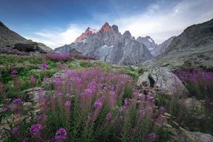 Lever de soleil au Pelvoux avec les épilobes