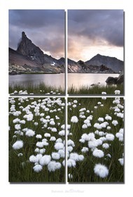 Lake Blanchet, bog cotton and the Toillies peak