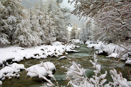 L'aigue Agnelle sous la neige du mois de mai