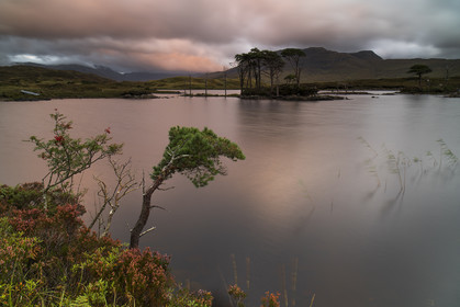 Loch Assynt, after the rain