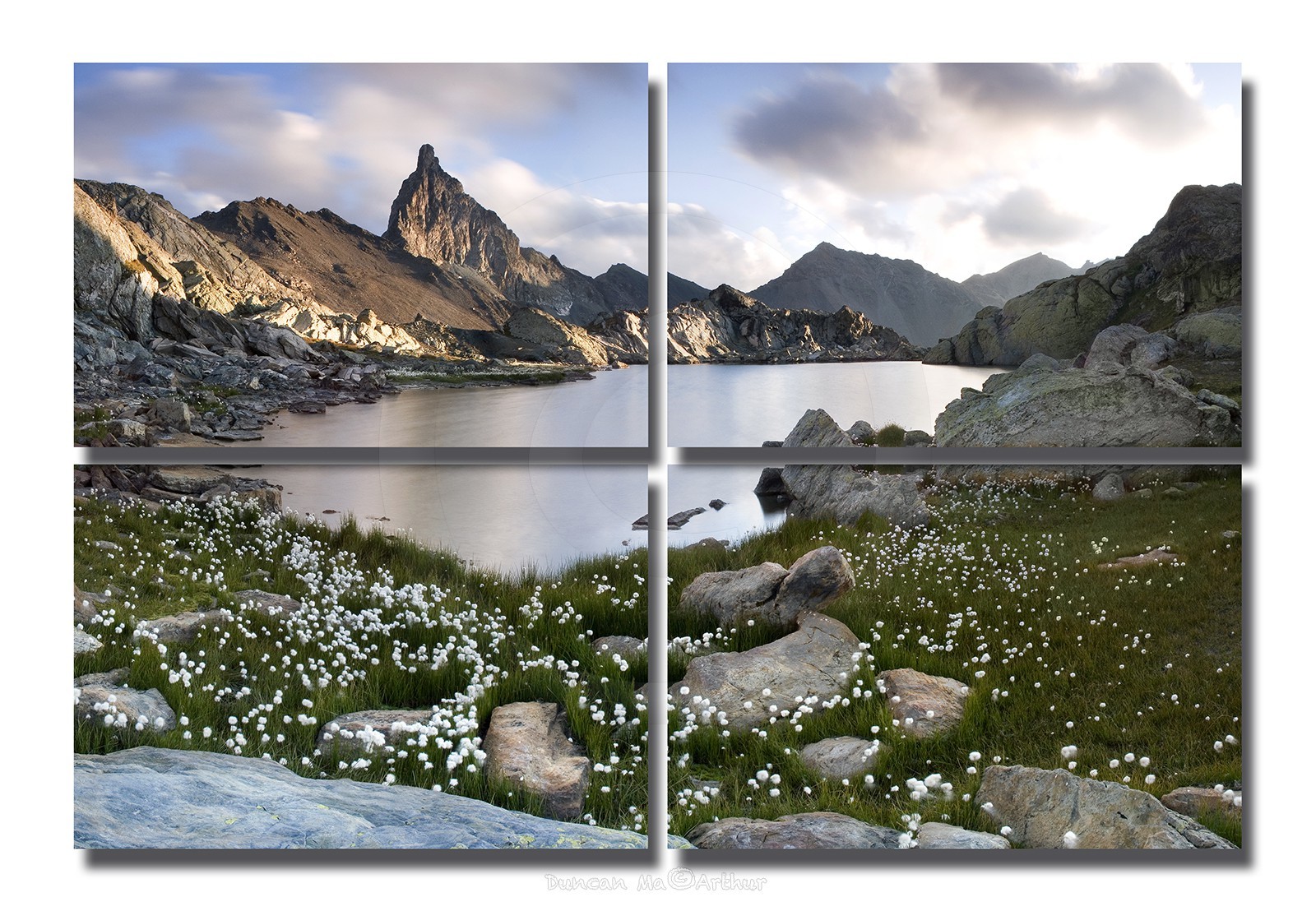 Le lac Blanchet supérieur, des linaigrettes et la tête des Toillies