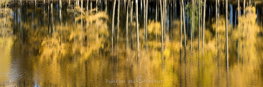 Couleurs d'automne au lac de Roue