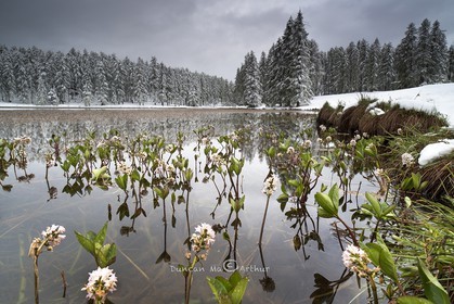 Les saisons se rencontrent le 15 mai au lac de Roue
