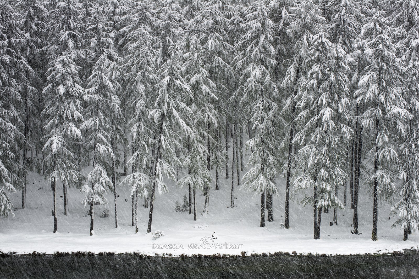 Snow in May at the lake of Roue