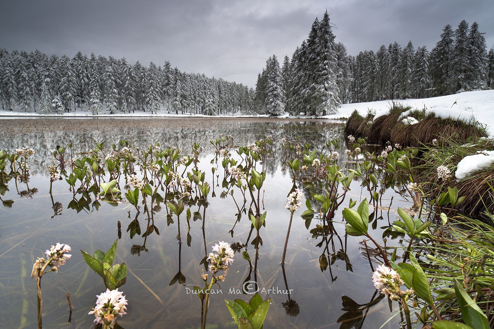 Les saisons se rencontrent le 15 mai au lac de Roue