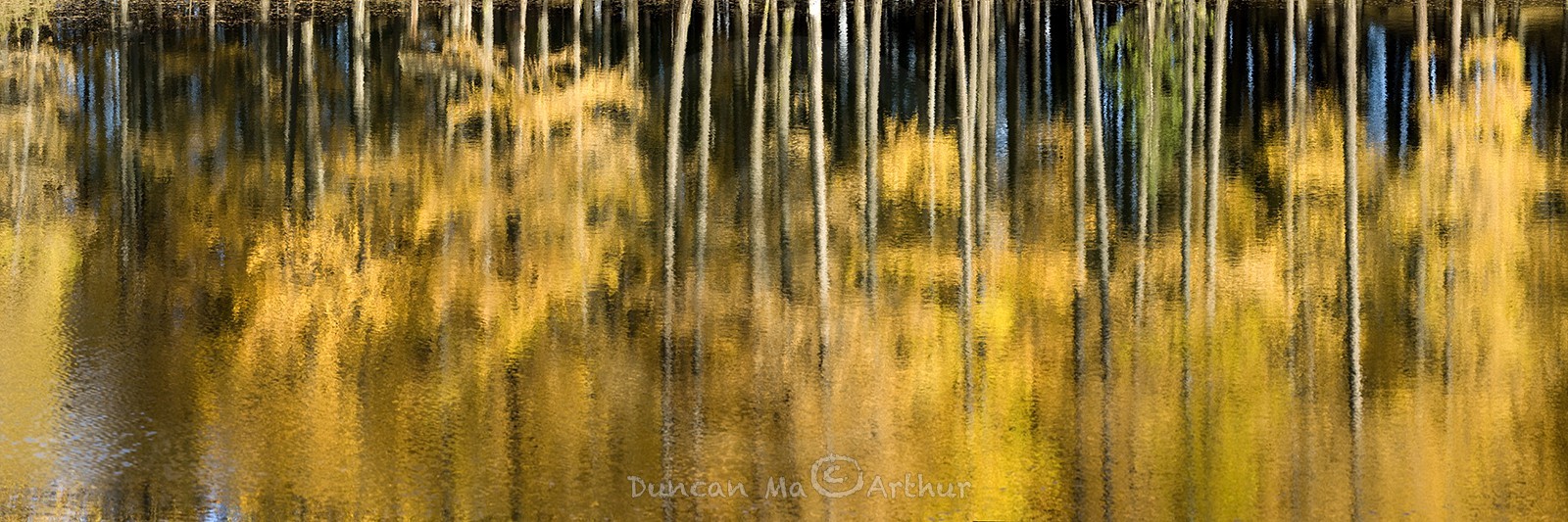 Couleurs d'automne au lac de Roue