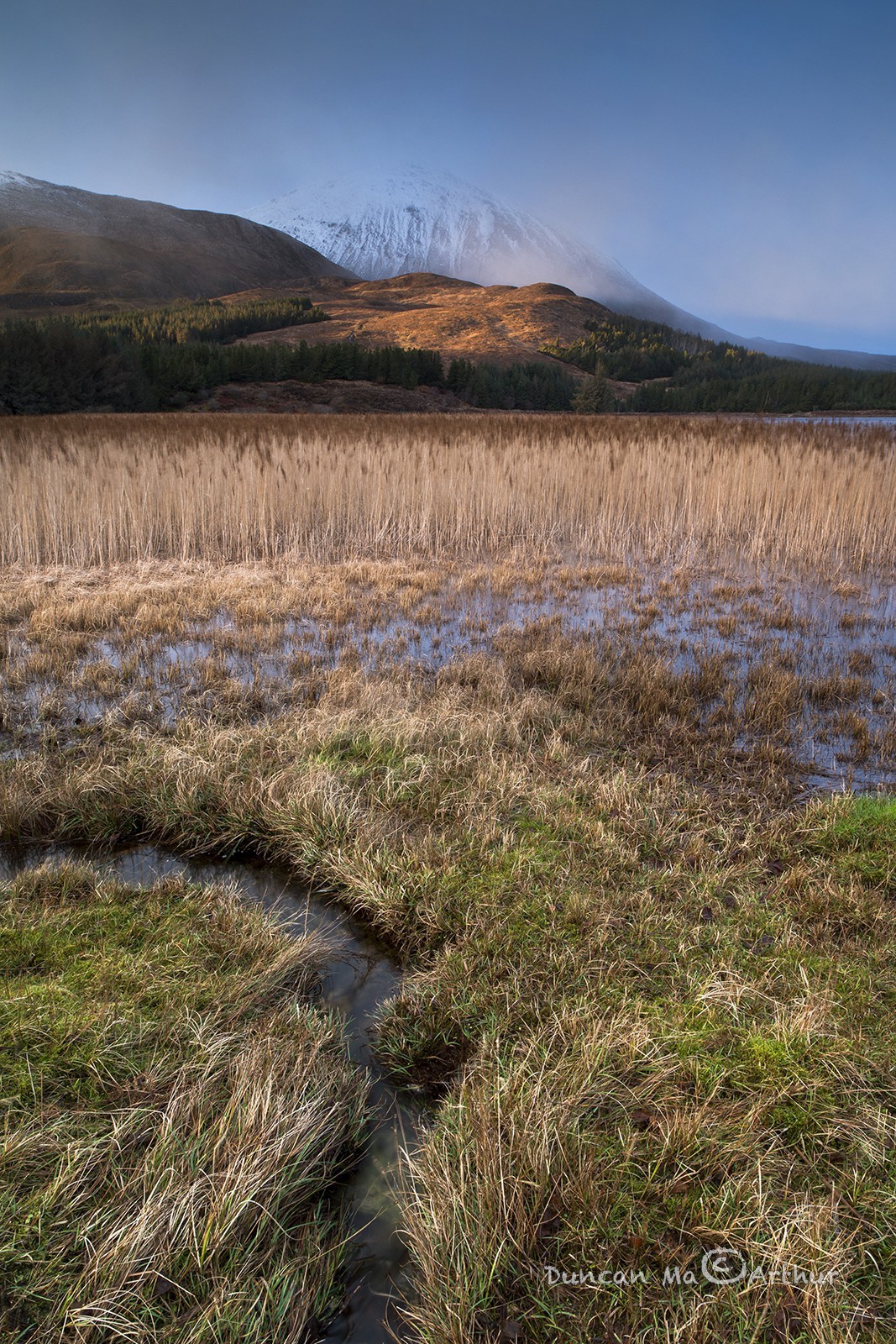 Beinn na Cailich depuis le loch Cill Chriosd, île de Skye