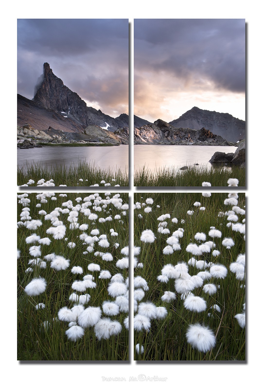 Le lac Blanchet supérieur, des linaigrettes et la tête des Toillies