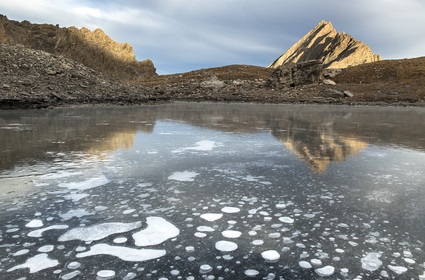 Fleur de glace sur le lac d'Asti