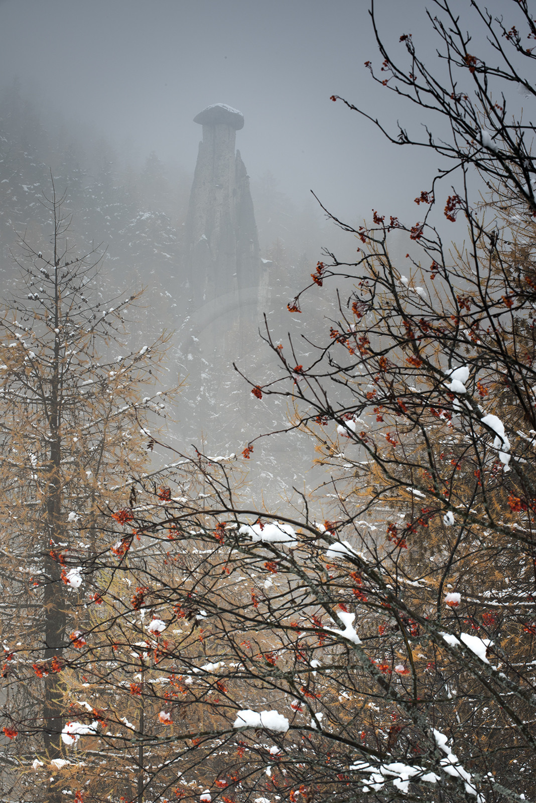 La demoiselle coiffée dans le brouillard