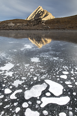 Une fleur de glace sur le lac d'Asti