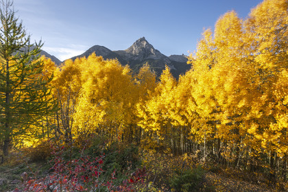 Octobre à Bramousse