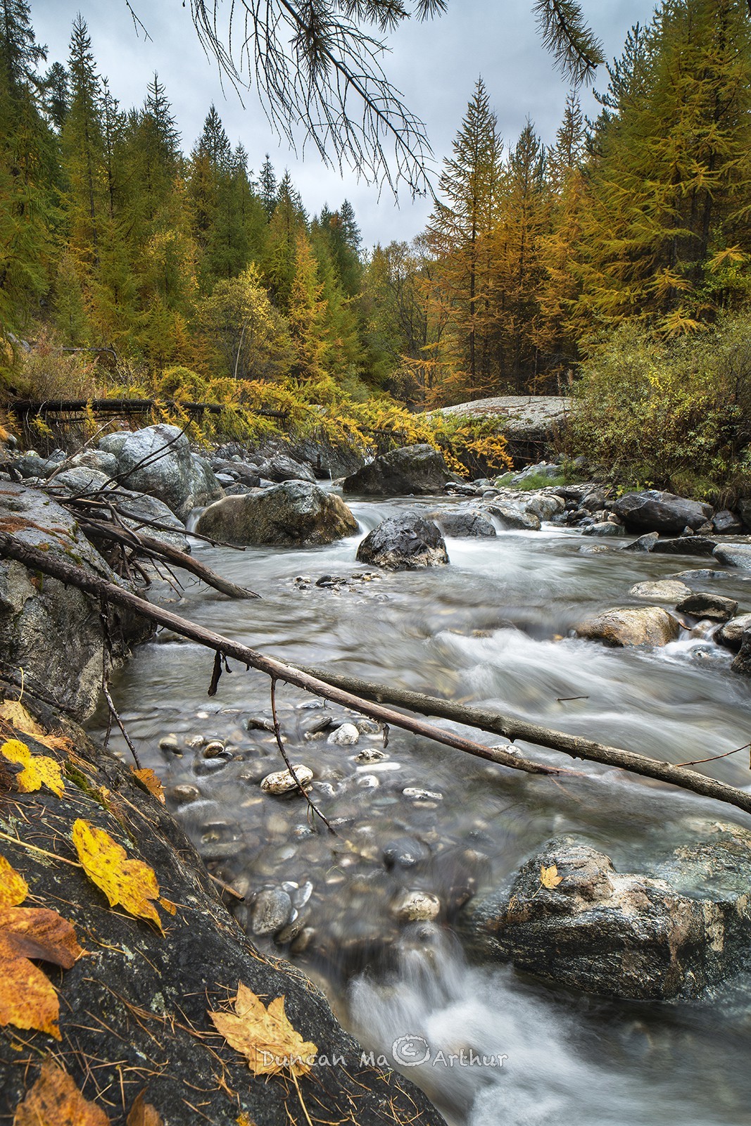 L'aigue Blanche en automne