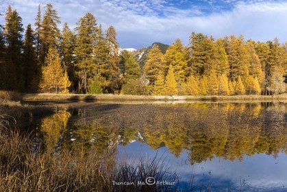 Couleurs d'automne au lac de Roue