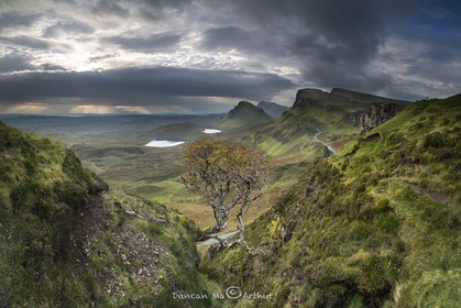 The solitary tree of the Quiraing, isle of Skye