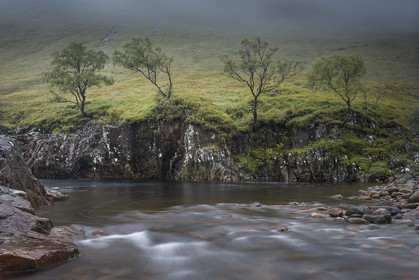 4 arbres, Glen Etive