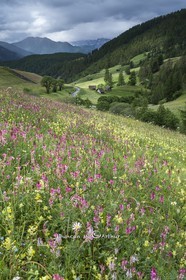 The flowery pastures of Souliers