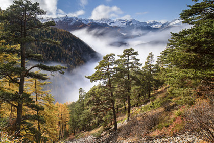 L'automne dans le Queyras
