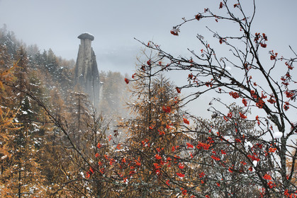 La demoiselle coiffée dans le brouillard