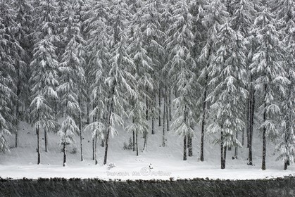 Neige du mois de mai au lac de Roue