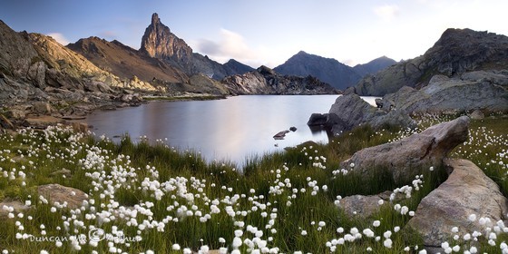 The Toillies peak, lake Blanchet and bog cotton