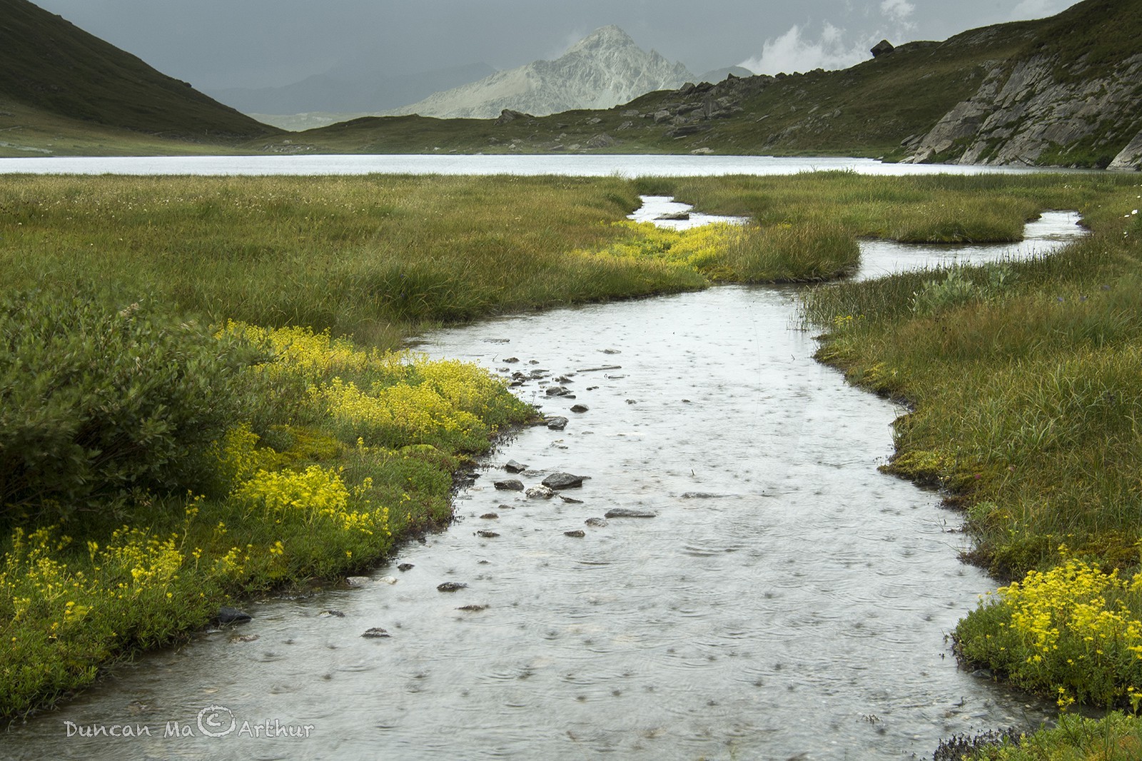 Pluie sur le lac Egorgéou