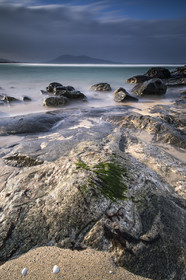 Algues et coquillages, île de Harris