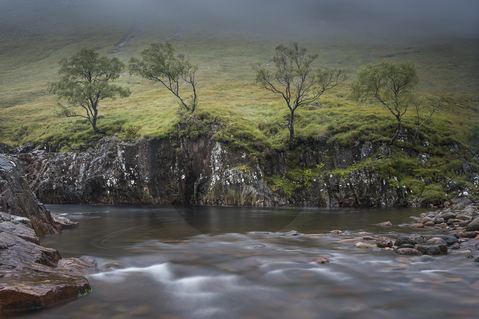 4 arbres, Glen Etive