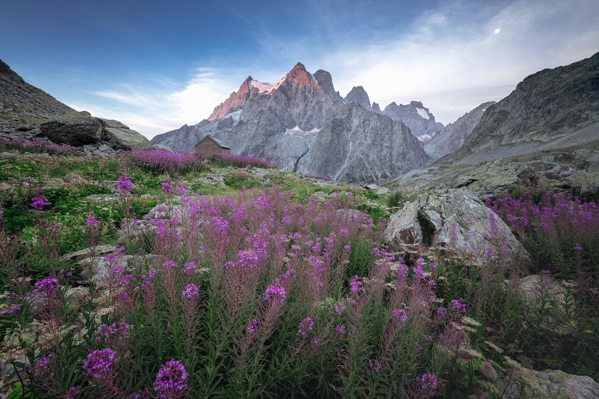 Lever de soleil au Pelvoux avec les épilobes