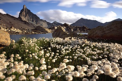 Linaigrettes, le lac Blanchet et la tête des Toillies