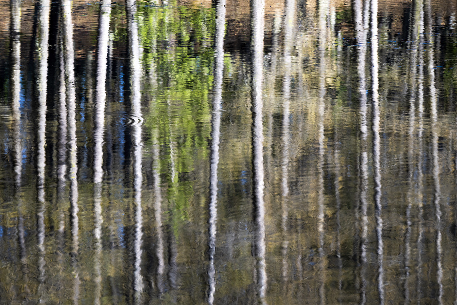 Reflets dans le lac de Roue
