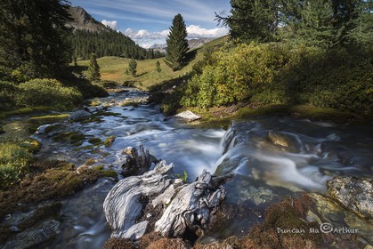 The spring of the torrent of Piss