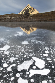 Une fleur de glace sur le lac d'Asti