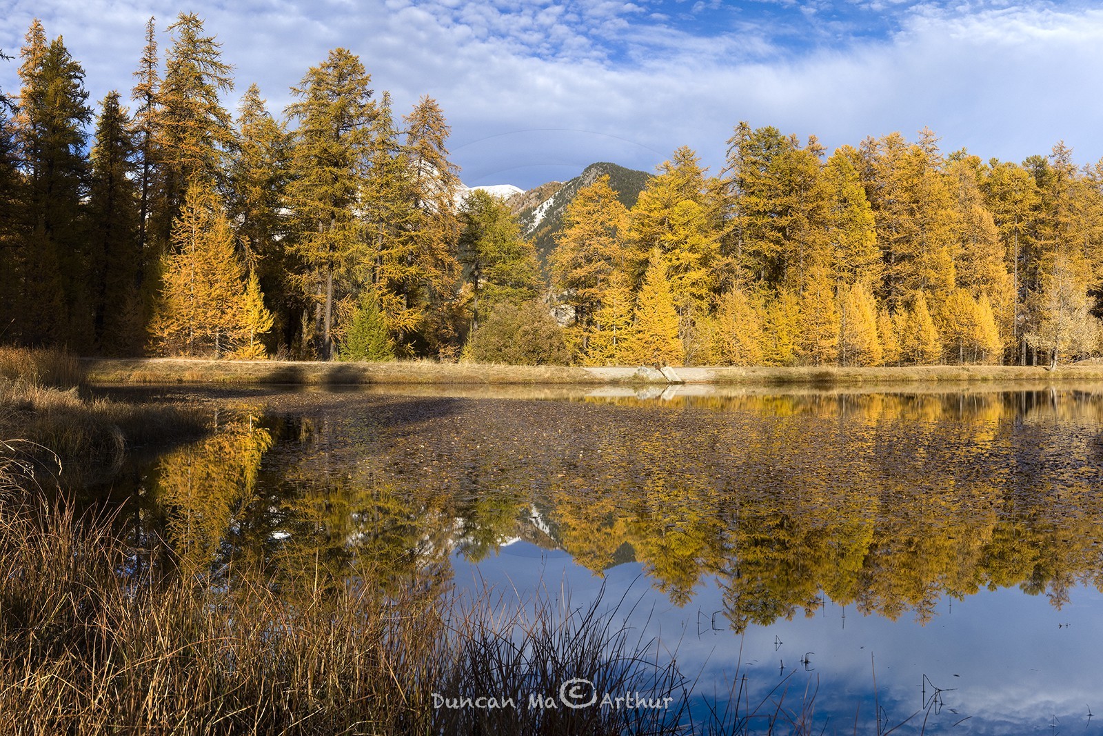 Couleurs d'automne au lac de Roue