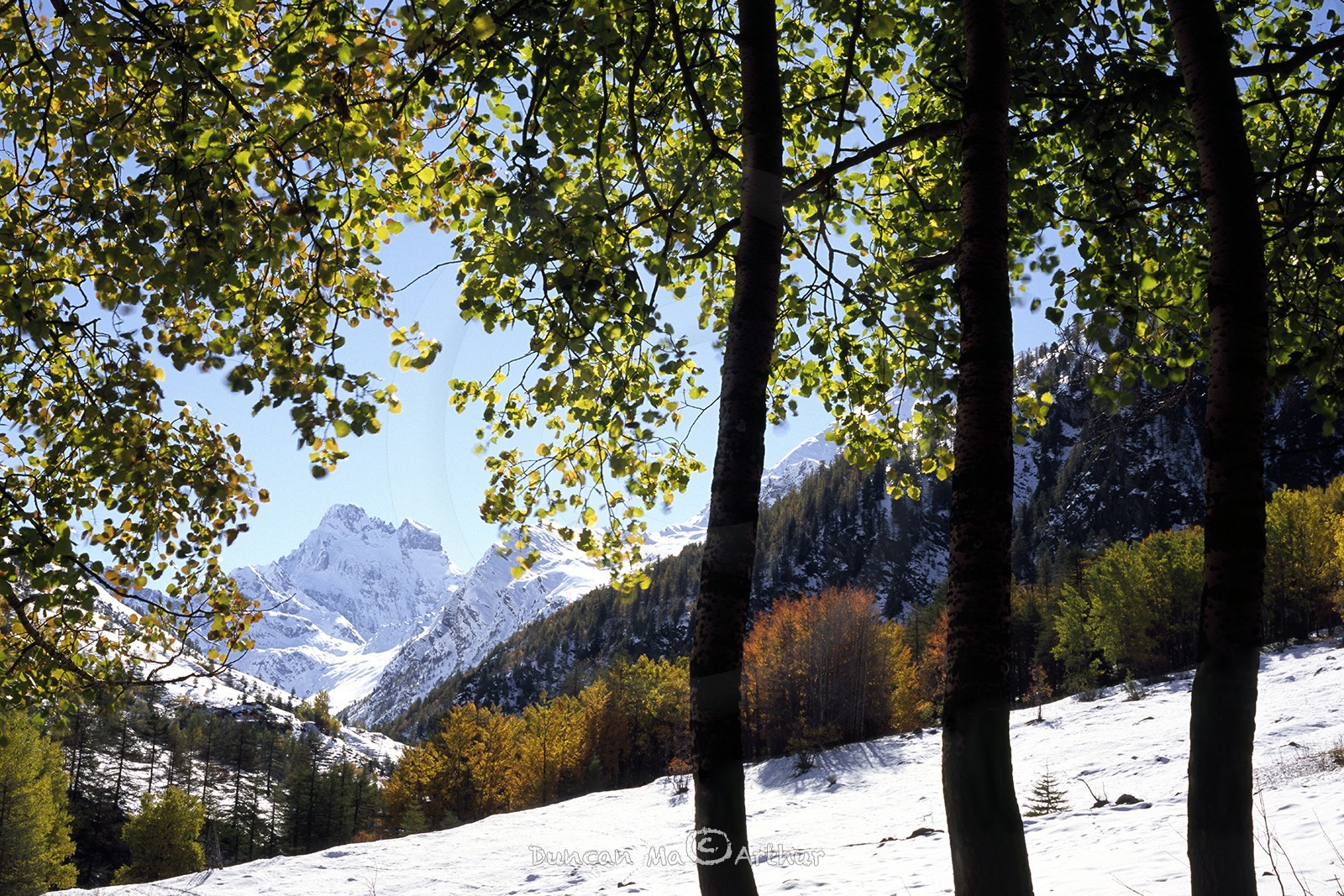 Premières neiges au pré Michel