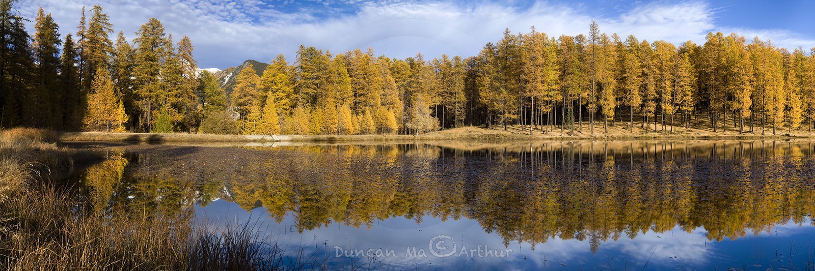Couleurs d'automne au lac de Roue